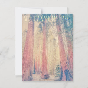 Carte Postale Parc national de Sequoia