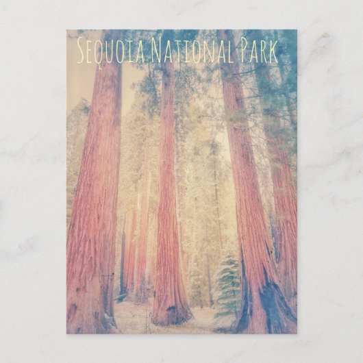 Carte Postale Parc national de Sequoia (Devant)