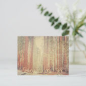 Carte Postale Parc national de Sequoia (Debout devant)