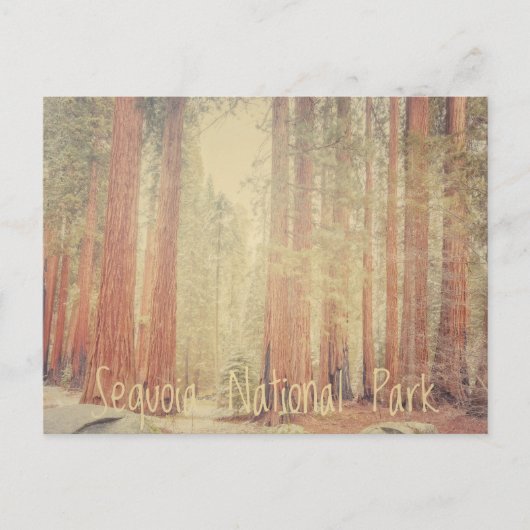 Carte Postale Parc national de Sequoia (Devant)