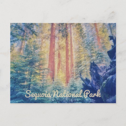Carte Postale Parc national de Sequoia (Devant)