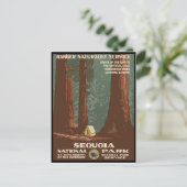 Carte Postale Parc national de Sequoia (Debout devant)