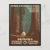 Carte Postale Parc national de Sequoia (Devant)