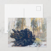 Carte Postale Parc national de Sequoia Forêt d'hiver (Devant / Derrière)