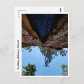 Carte Postale Parc national de Sequoia : Jours de chien (Devant / Derrière)