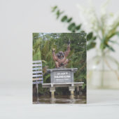 Carte Postale Parc national de Tanjung Putting, île de Bornéo (Debout devant)