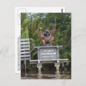 Carte Postale Parc national de Tanjung Putting, île de Bornéo (Devant / Derrière)