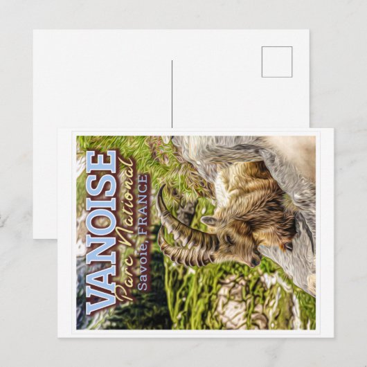 CARTE POSTALE PARC NATIONAL DE VANOISE - SAVOIE FRANCE - IBEX (Devant / Derrière)