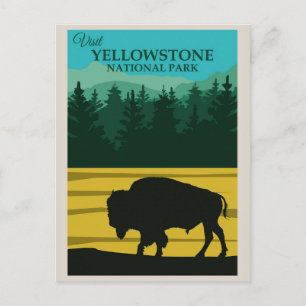Carte Postale Parc national de vintage Yellowstone Buffalo