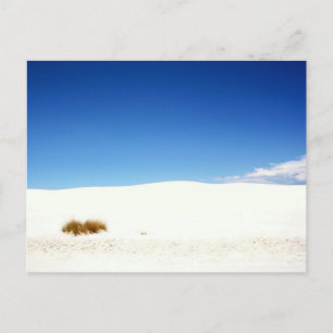 Carte Postale Parc national de White Sands, Nouveau-Mexique