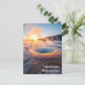 Carte Postale Parc national de Yellowstone (Debout devant)
