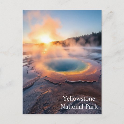 Carte Postale Parc national de Yellowstone (Devant)