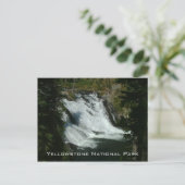 Carte Postale Parc national de Yellowstone (Debout devant)