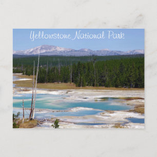 Carte Postale Parc national de Yellowstone