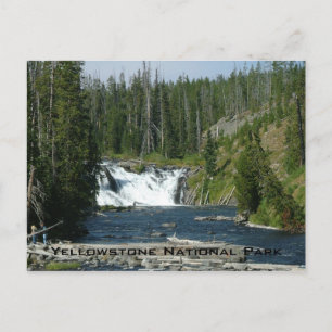 Carte Postale Parc national de Yellowstone