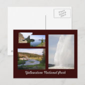 Carte Postale Parc national de Yellowstone (Devant / Derrière)