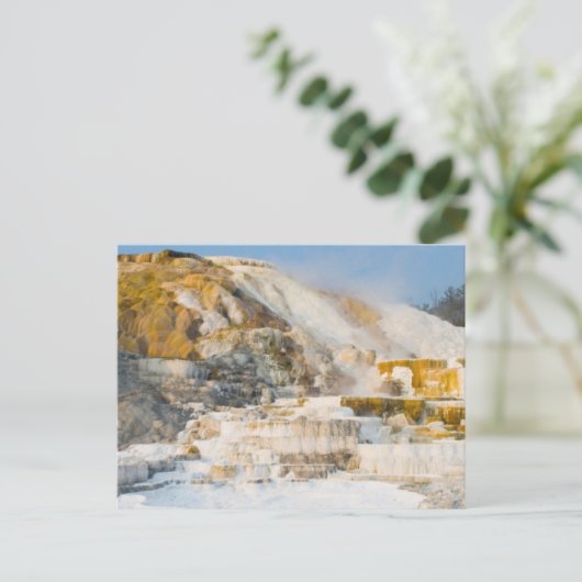 Carte Postale Parc national de Yellowstone (Debout devant)