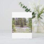 Carte Postale Parc national de Yellowstone (Debout devant)