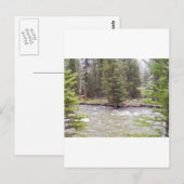 Carte Postale Parc national de Yellowstone (Devant / Derrière)