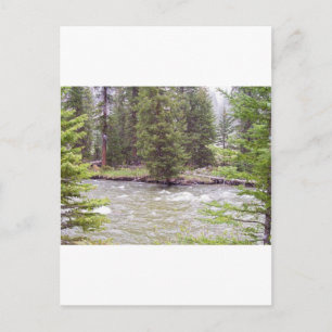 Carte Postale Parc national de Yellowstone