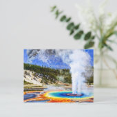 Carte Postale Parc national de Yellowstone (Debout devant)