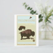 Carte Postale Parc national de Yellowstone (Debout devant)