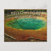 Carte Postale Parc national de Yellowstone (Devant)