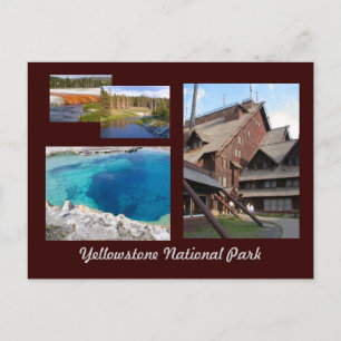 Carte Postale Parc national de Yellowstone