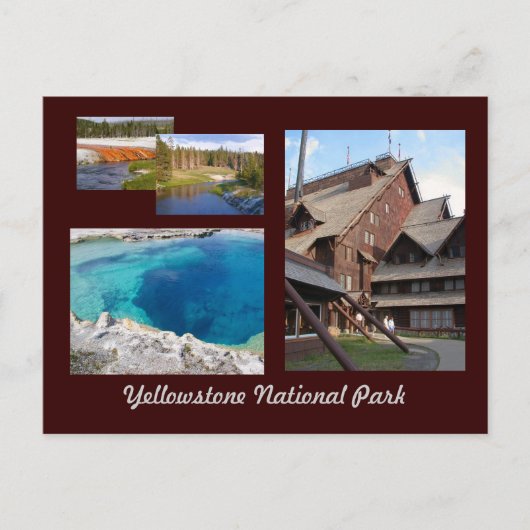 Carte Postale Parc national de Yellowstone (Devant)