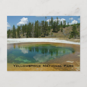 Carte Postale Parc national de Yellowstone