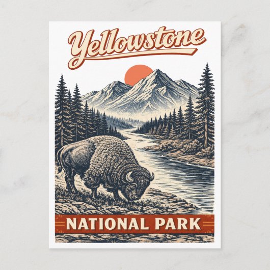 Carte Postale Parc national de Yellowstone - Bison (Devant)