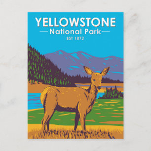 Carte Postale Parc national de Yellowstone Cerf mulet Vintage