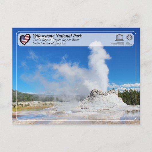 Carte Postale Parc national de Yellowstone - Château Geyser (Devant)