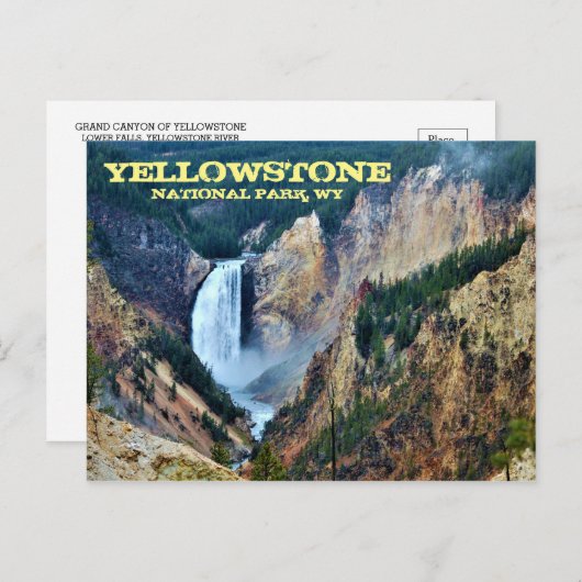 Carte Postale Parc national de Yellowstone, Lower Falls (Devant / Derrière)