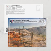 Carte Postale Parc national de Yellowstone - Mammoth Hot Springs (Devant / Derrière)