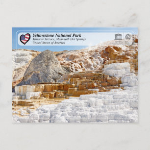 Carte Postale Parc national de Yellowstone - Minerva Terrace