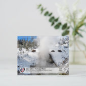 Carte Postale Parc national de Yellowstone - Printemps de la Bou (Debout devant)