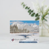 Carte Postale Parc national de Yellowstone - Soda Butte Creek (Debout devant)