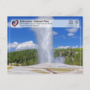 Carte Postale Parc national de Yellowstone - Vieux Geyser fidèle