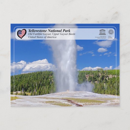 Carte Postale Parc national de Yellowstone - Vieux Geyser fidèle (Devant)