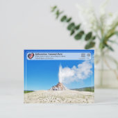 Carte Postale Parc national de Yellowstone - White Dome Geyser (Debout devant)