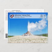 Carte Postale Parc national de Yellowstone - White Dome Geyser (Devant / Derrière)