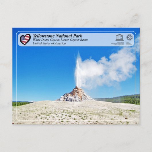 Carte Postale Parc national de Yellowstone - White Dome Geyser (Devant)
