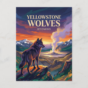 Carte Postale Parc national de Yellowstone Wyoming