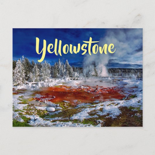 Carte Postale Parc national de Yellowstone Wyoming (Devant)