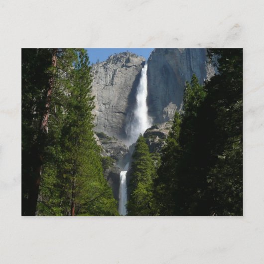 Carte Postale Parc national de Yosemite (Devant)