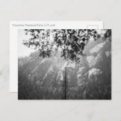 Carte Postale Parc national de Yosemite (Devant / Derrière)