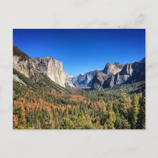 Carte Postale Parc national de Yosemite, Californie (Devant)