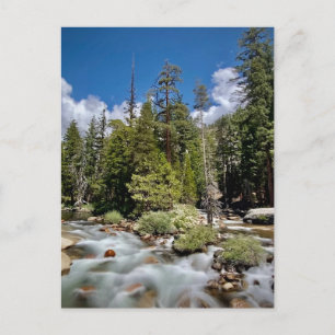 Carte Postale Parc national de Yosemite, Californie