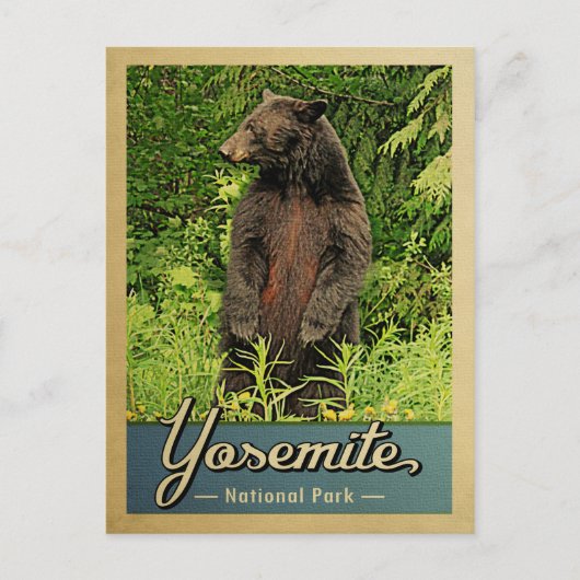 Carte Postale Parc national de Yosemite Ours Vintage (Devant)